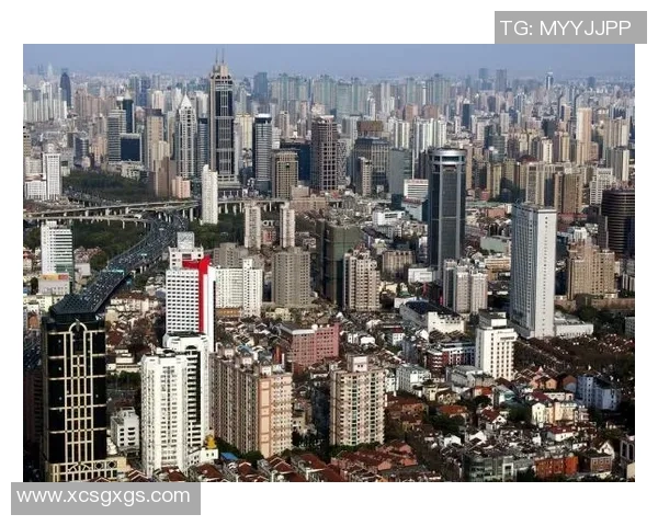 上海篮球队转型之路的真实记录与发展历程探讨