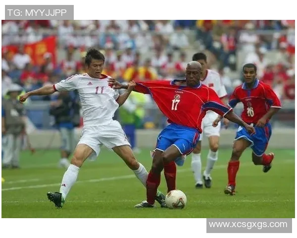 重庆排球队逆袭之旅揭秘世界杯背后的奋斗与荣耀